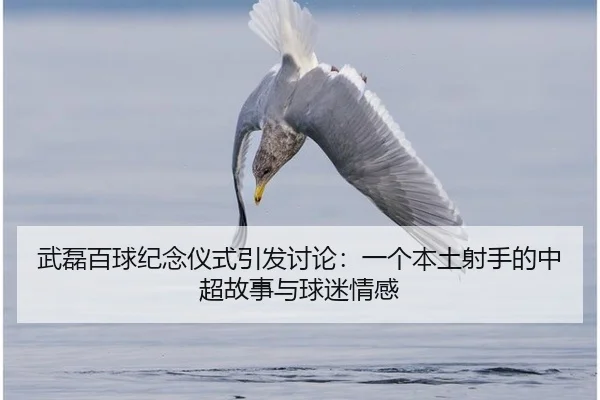 武磊百球纪念仪式引发讨论：一个本土射手的中超故事与球迷情感